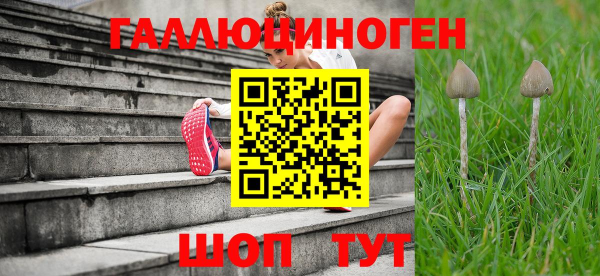 Владимир  продажа наркотиков  Вход с VPN  Галлюциногенные грибы ЛСД 